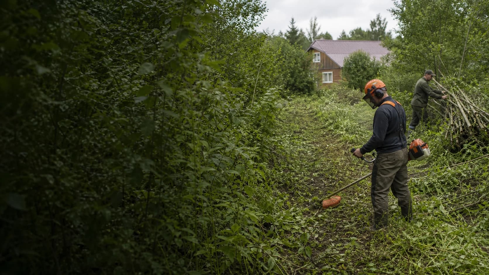 До и после расчистки заросшего участка возле дома — Люберцы